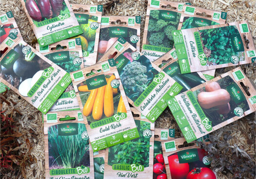 Plusieurs sachets de graines bio de la marque Vilmorin sont étalés sur du paillis de chanvre : Radis noir, Courgette, Ciboulette, Basilic, Tomates, Coriandre, Chou Brocoli, Courges Butternut, Betteraves, Chou Frisé Kale, Cornichons.