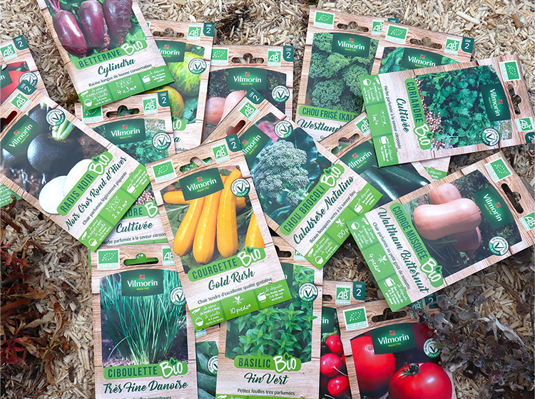 Plusieurs sachets de graines bio de la marque Vilmorin sont étalés sur du paillis de chanvre : Radis noir, Courgette, Ciboulette, Basilic, Tomates, Coriandre, Chou Brocoli, Courges Butternut, Betteraves, Chou Frisé Kale, Cornichons.