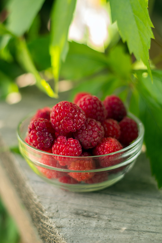 Vue sur sur des framboises fraîchement cueillies dans un bol en verre