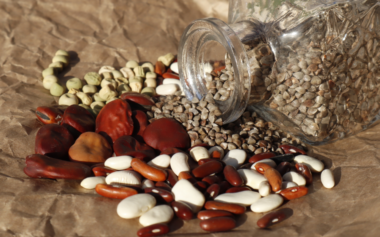 Graines Potager Graines Fève Aguadulce à Longues Cosses - Légume Ancien Goût Fin Légumes Grains Longue Cosse