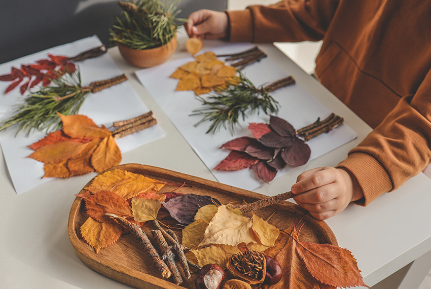 Une fillette assise sur une table, trie les feuilles mortes de couleur devant elle pour créer un herbier