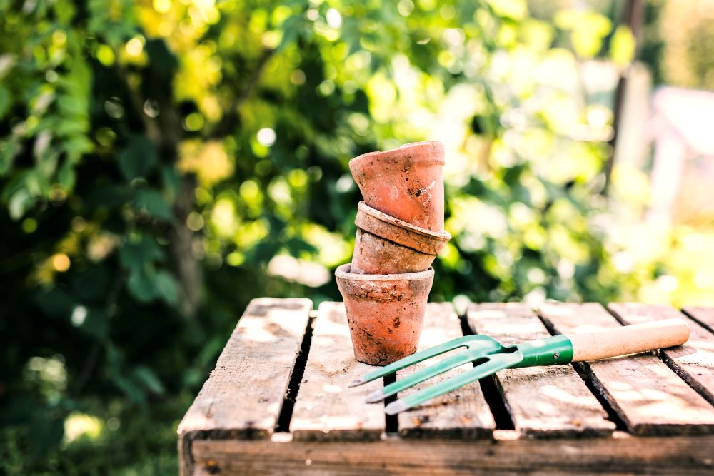 Quand et comment préparer son jardin pour le printemps ?