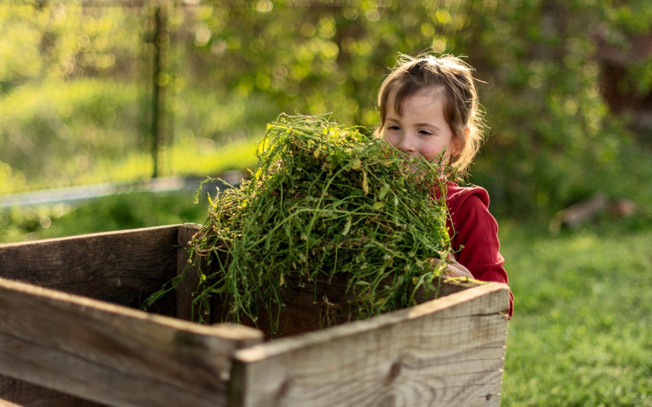 Enfant qui tient un tas de déchets verts et s'apprête à les déposer dans un bac à compost en bois