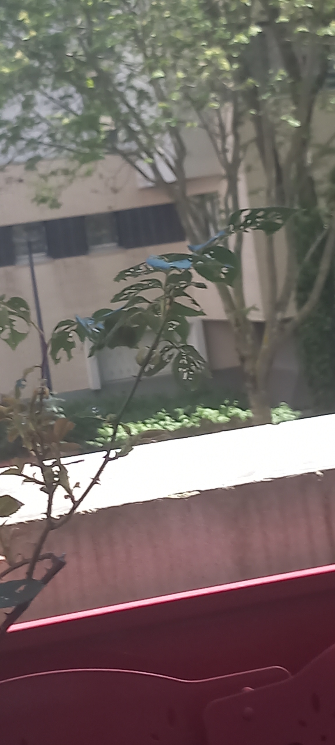 20250430_145714.jpg