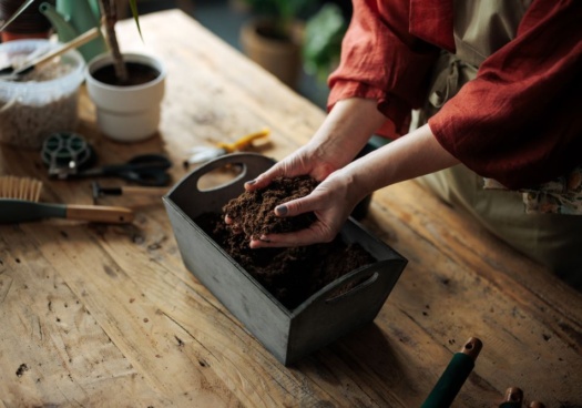 Main d'une femme tenant du compost au dessus d'un bac