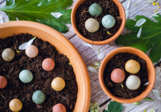 Coffret billes d'argile à planter blossombs