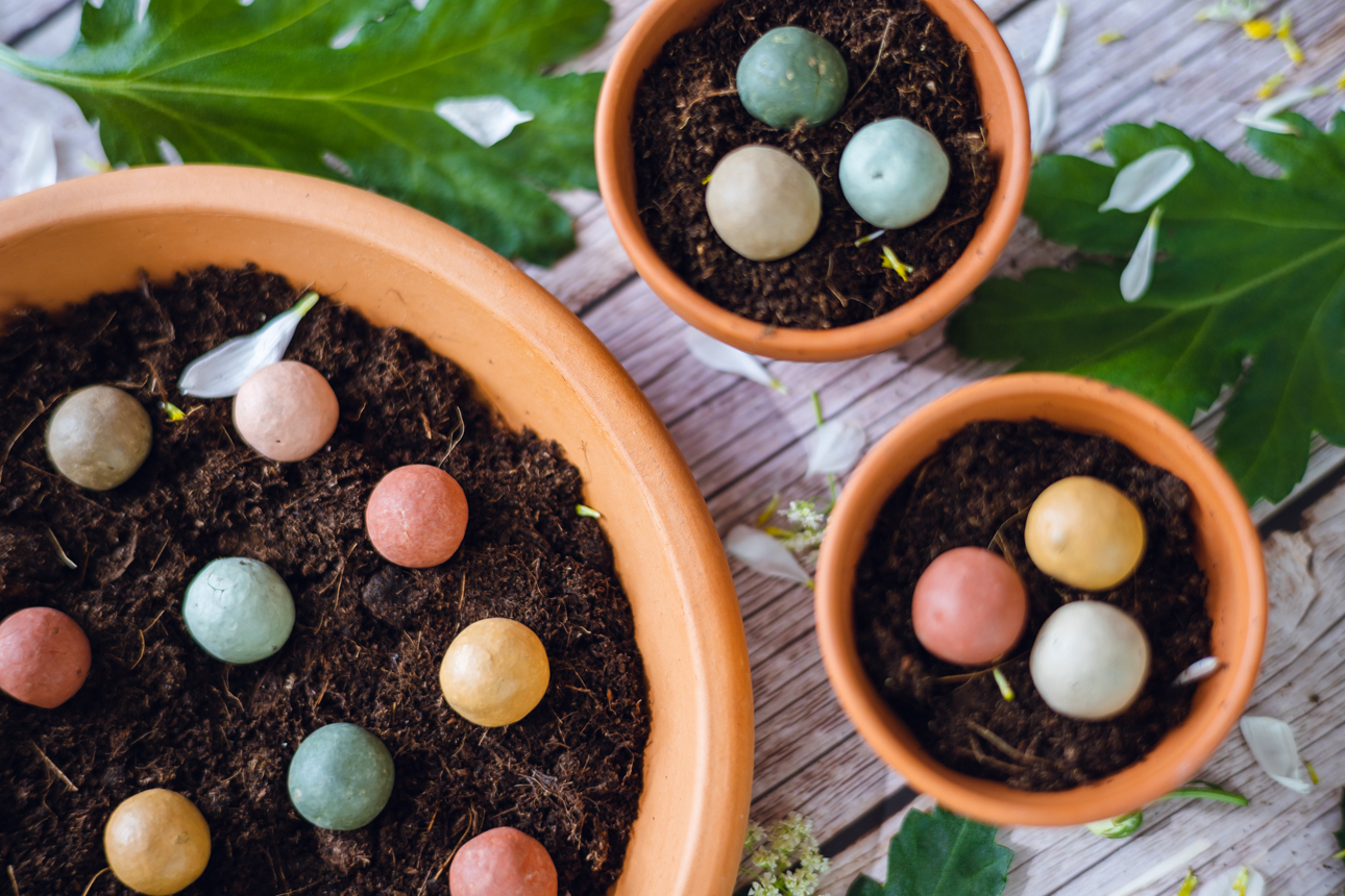 Coffret billes d'argile à planter blossombs