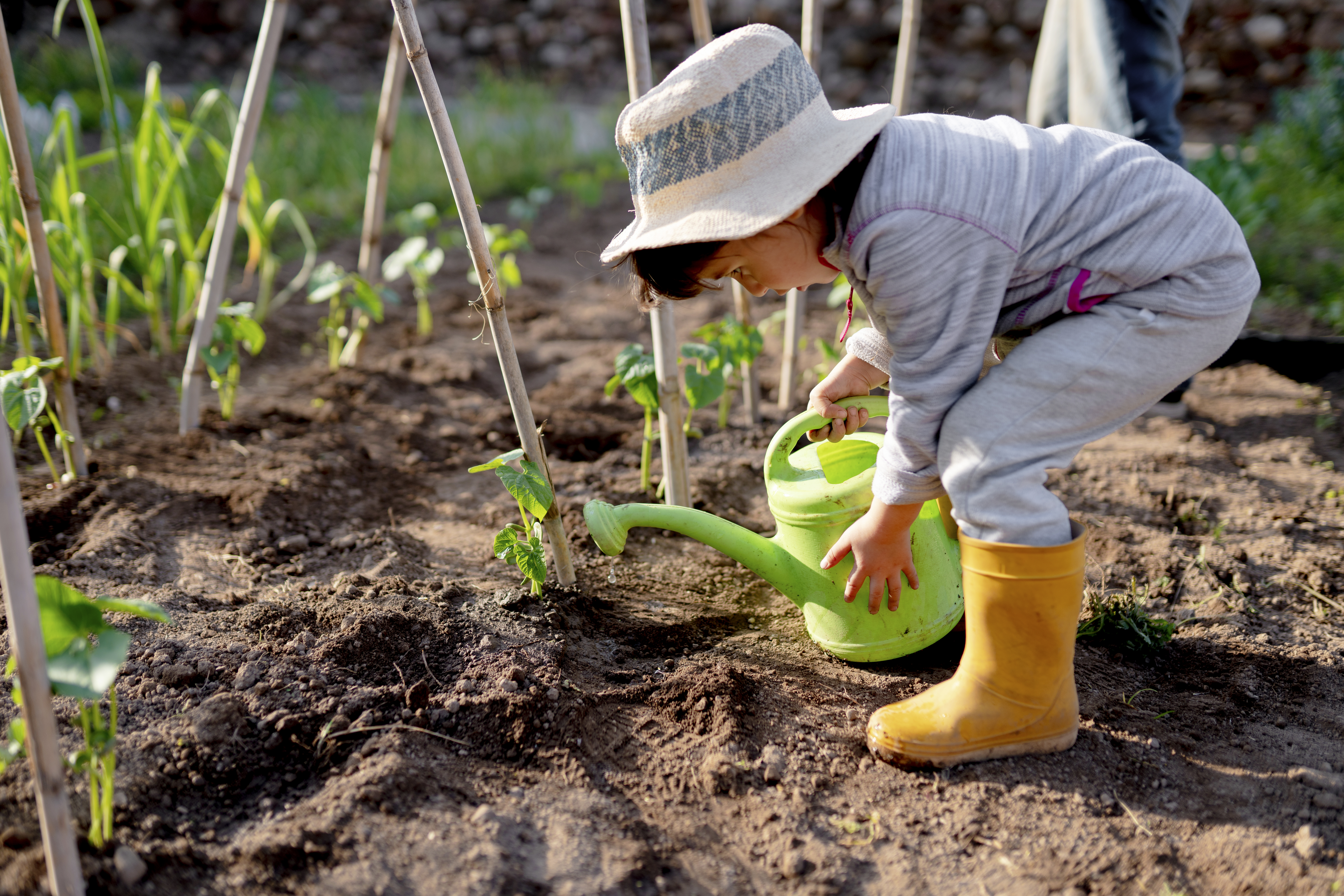 Full length side view of cute girl watering seedling at orchard