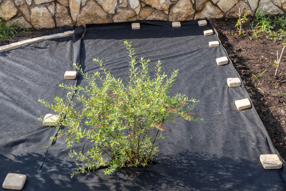 Géotextile gris déroulé au sol, partiellement recouvert de pavés en grès disposés en rangées régulières, utilisé pour stabiliser et séparer les couches dans un aménagement paysager ou une allée.