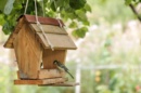 Mangeoire à oiseaux accrochée à une branche, avec quelques mésanges autour.