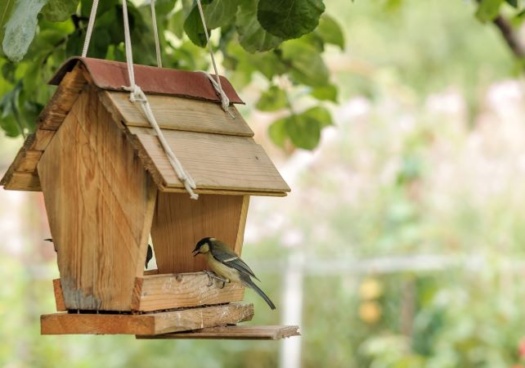 Mangeoire à oiseaux accrochée à une branche, avec quelques mésanges autour.