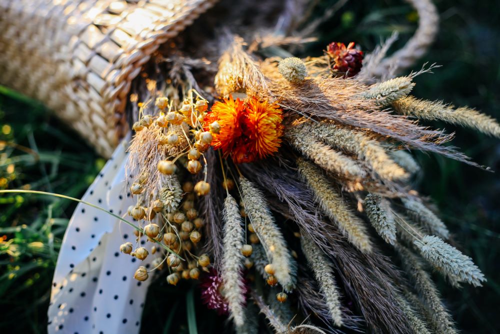 Bouquet de fleurs séchées naturelles.
