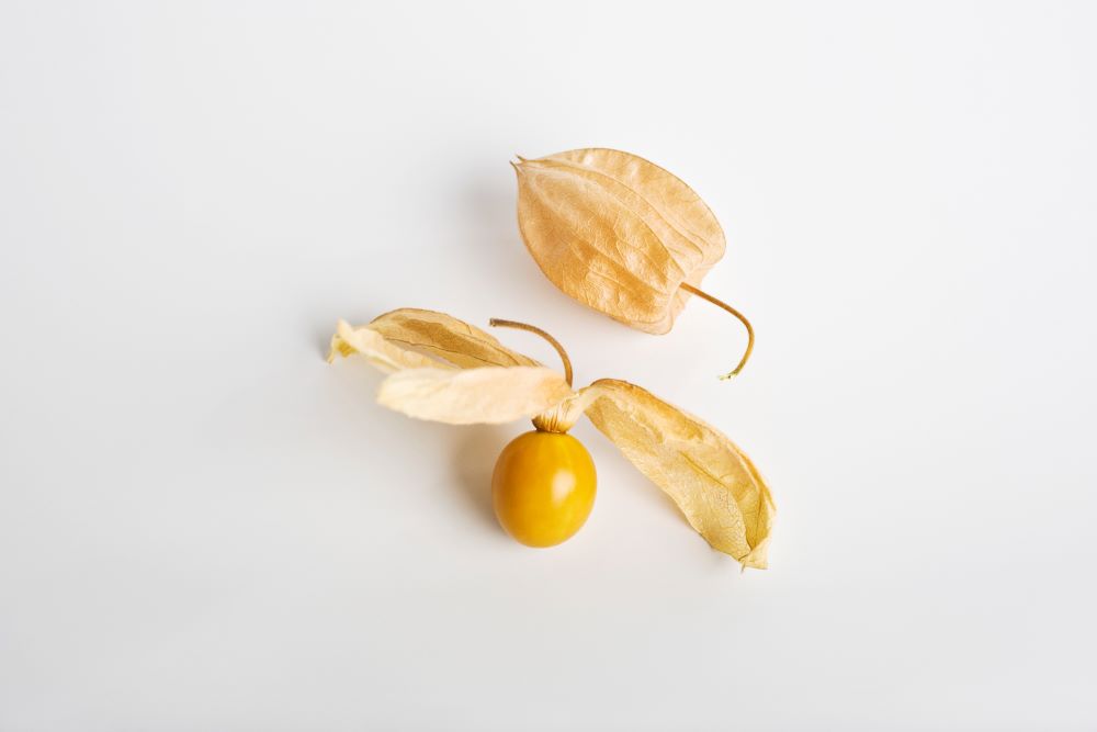 Photo d'un physalis peruviana.