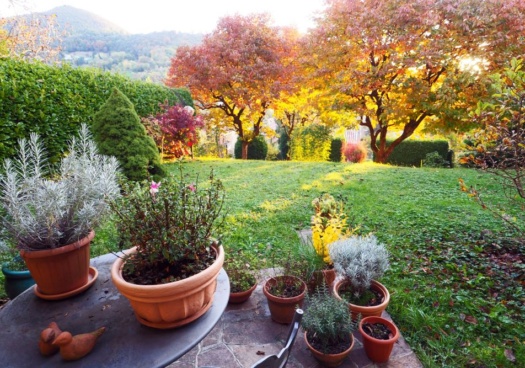 Photo d'un jardin en automne.
