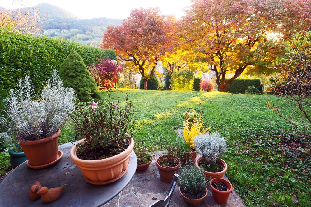 Photo d'un jardin en automne.