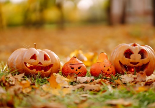 Photo représentant 4 citrouilles d'Halloween creusées.