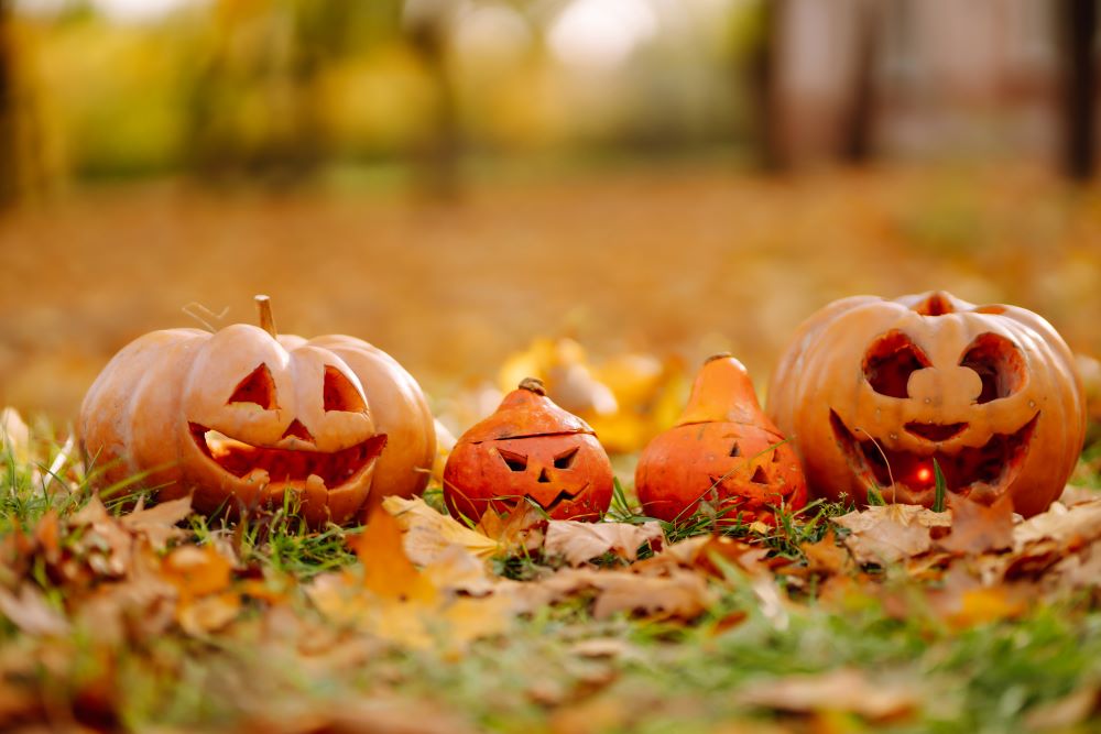 Photo représentant 4 citrouilles d'Halloween creusées.
