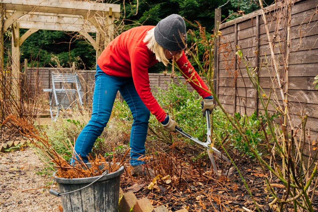 Photo qui laisse apercevoir une scène de jardinage à la fin de l'automne.