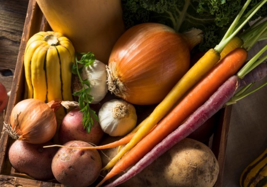 Photo de multiples légumes d'hiver.