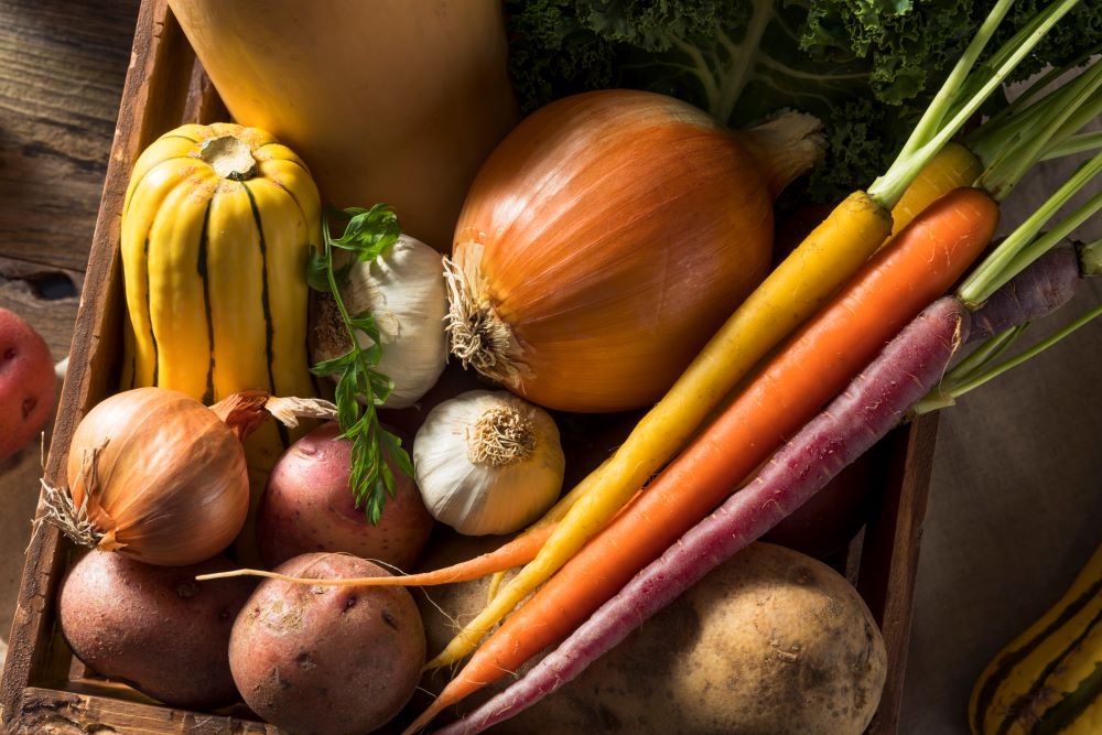 Photo de multiples légumes d'hiver.