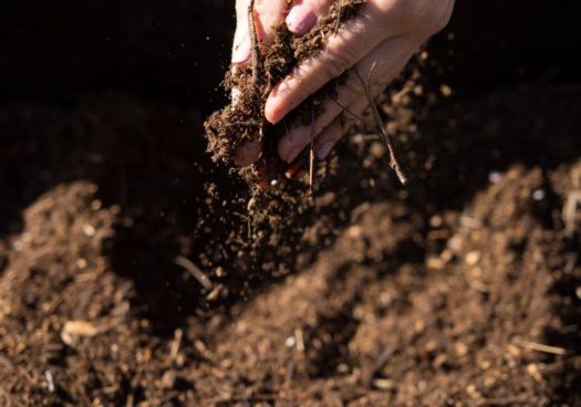 Photo d'une terre en train d'être enrichie avec du compost.