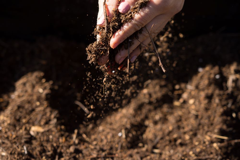 Photo d'une terre en train d'être enrichie avec du compost.