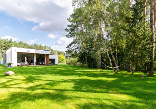 Photo d'un jardin agrémenté de gazon avec un maison morderne.