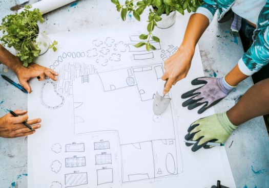 Photo d'un plan de potager en train d'être créé.