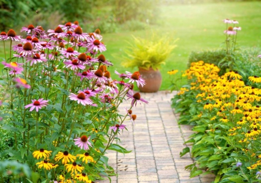 Photo d'un jardin au printemps rempli de vivaces.