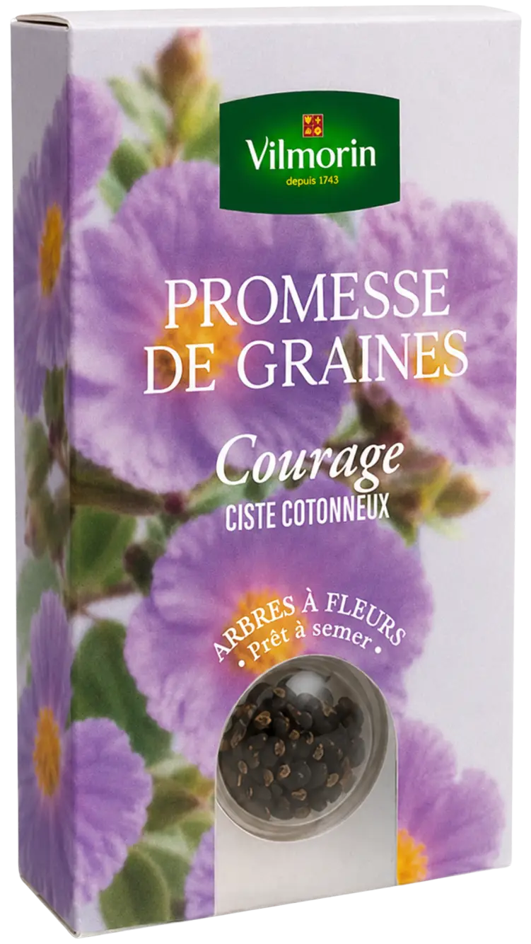 Boite en 3D Promesse de Graines Ciste Cotonneux