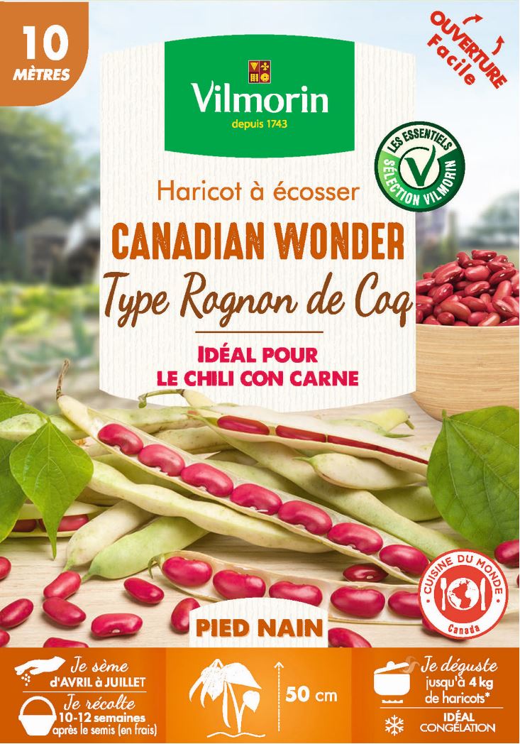 Nos graines haricot rouge à écosser Canadian Wonder - La Bonne Graine