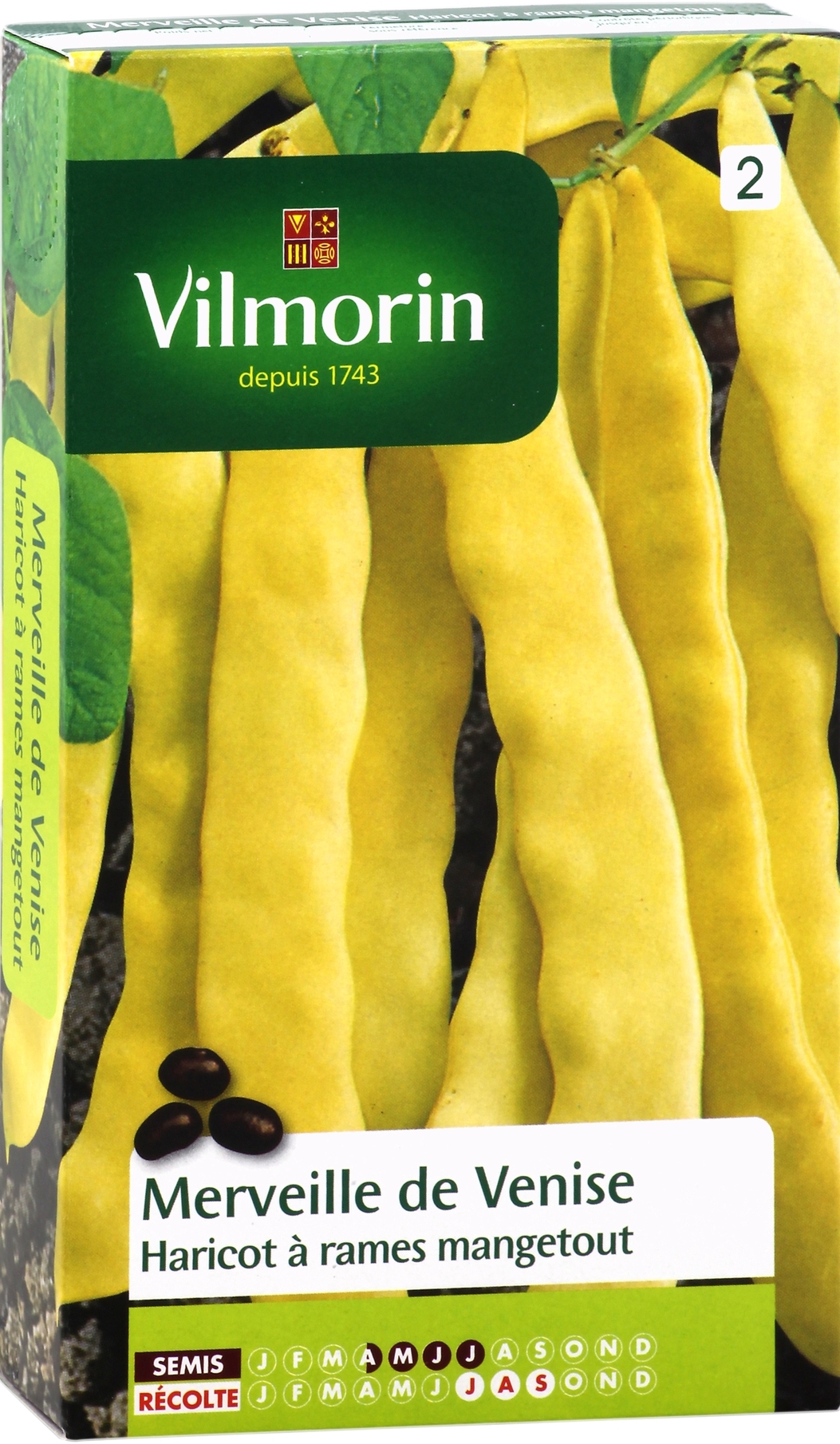 Vilmorin Graines de Haricot à Rames Perfection blanc, 100 g