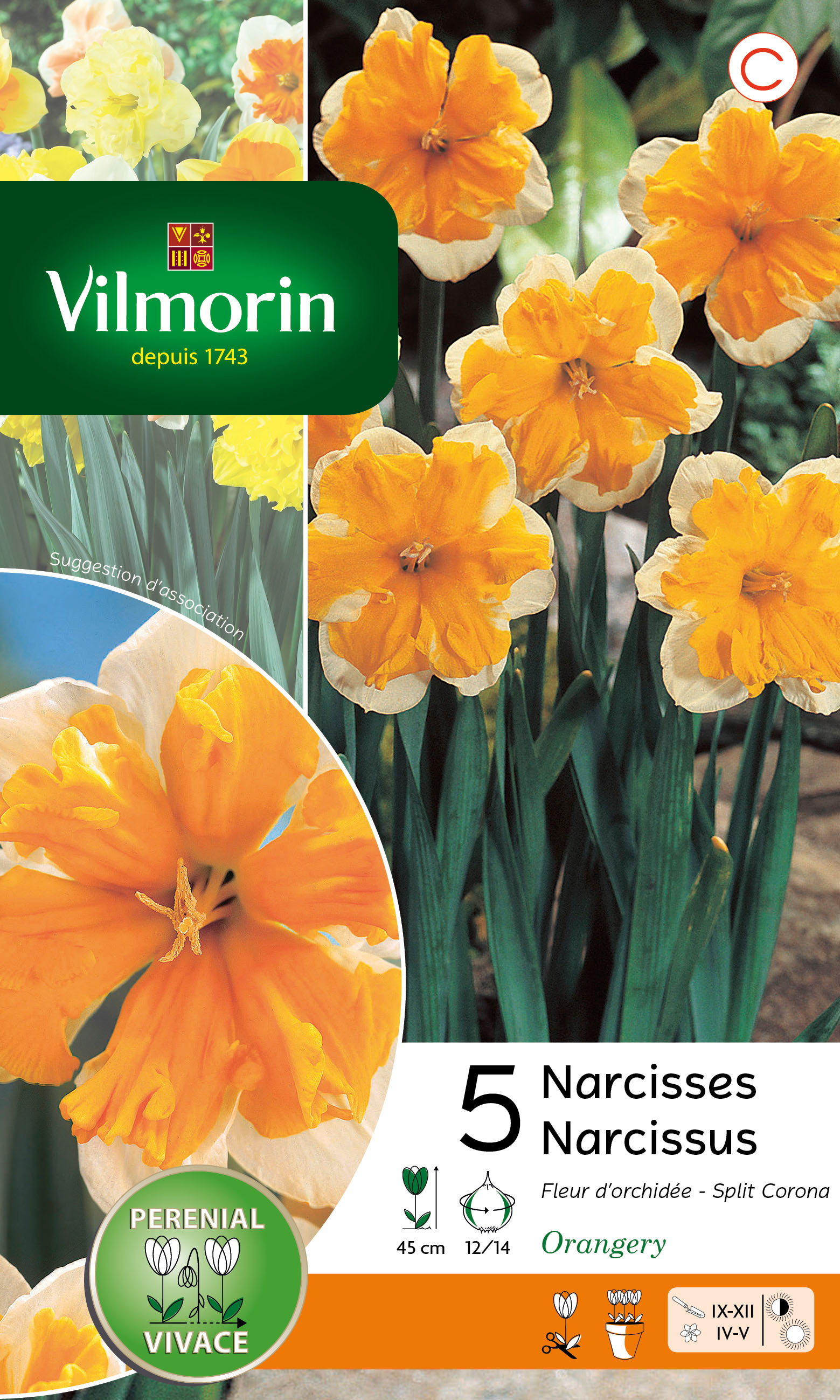 Narcisse Orangery